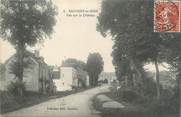 89 Yonne CPA FRANCE 89 "Sauvigny le Bois, vue sur le château"