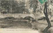 38 Isere CPA FRANCE 38 "Salaise, ancien pont du prieuré sur la Sanne"