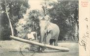 Asie CPA SRI LANKA CEYLAN / ELEPHANT