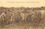 Guadeloupe CPA GUADELOUPE "Travailleurs des champs de cannes à sucre mettant de l'engrais"
