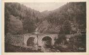 63 Puy De DÔme / CPA FRANCE 63 "Saint Sauveur la Sagne, vieux pont"