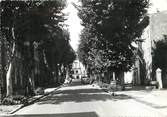 83 Var / CPSM FRANCE 83 "Lorgues, avenue Allongue"